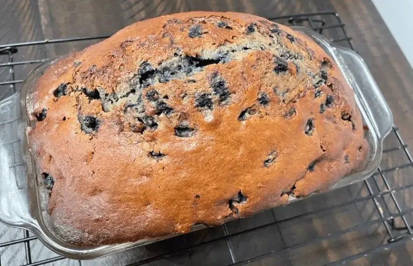 Freshly baked blueberry bread loaf on a cooling rack.