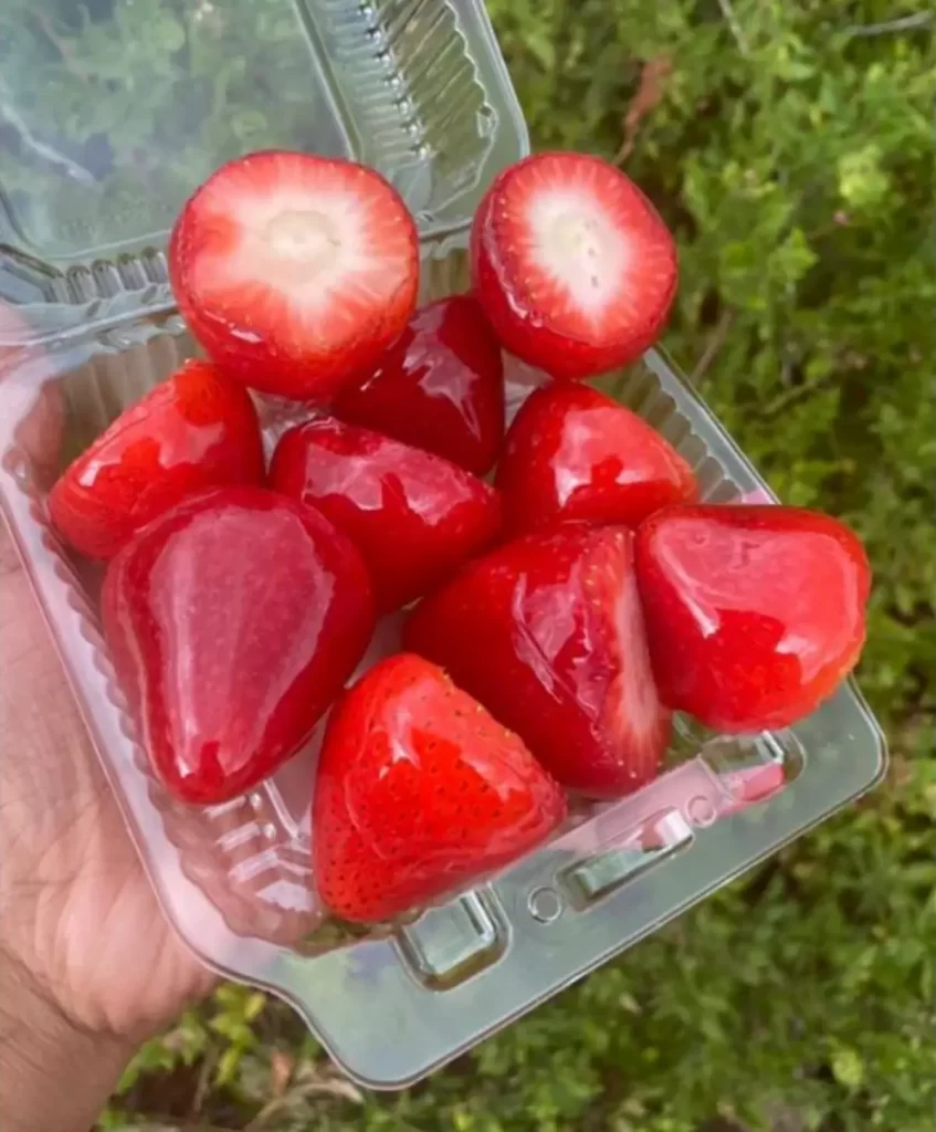 Glossy candied strawberries on a white plate, with a shiny sugar coating reflecting light.