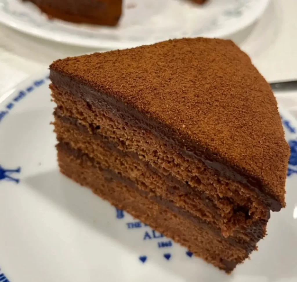 Slice of chocolate sponge cake with multiple layers and cocoa dusting.