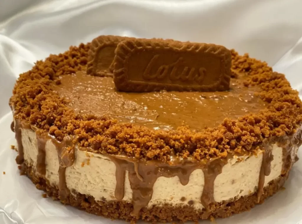 A slice of Biscoff Cookie Butter Cheesecake with a golden cookie crust and creamy filling.